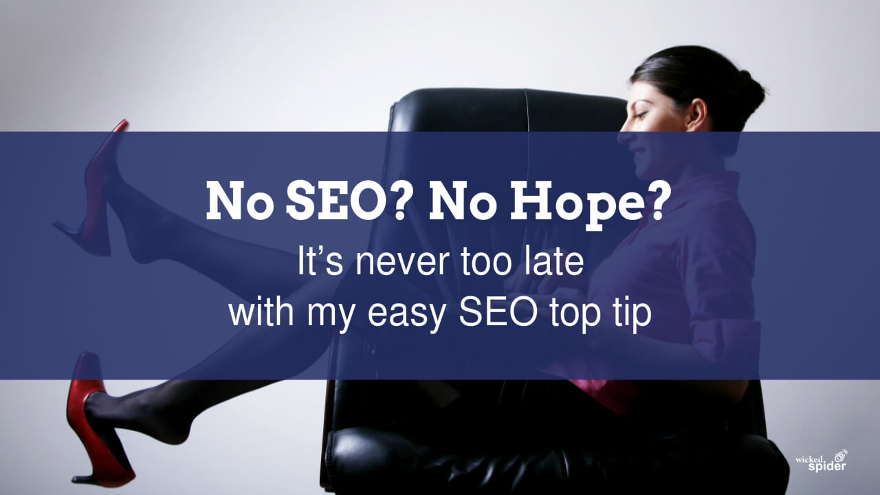 No SEO No Hope Wicked Spider Wolverhampton