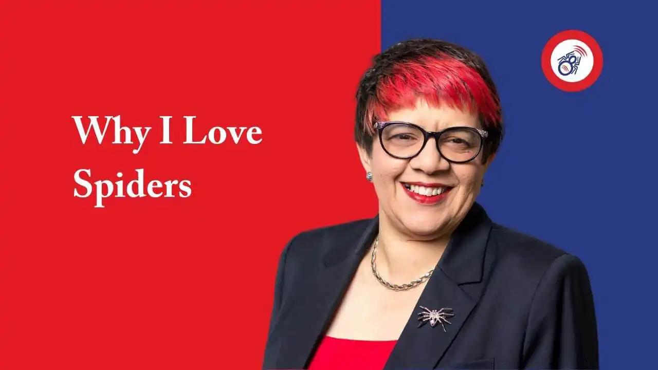 Why I Love Spiders (Vlog version)