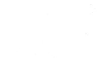 SEO Services and Website Designer