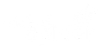 Wicked Spider Web Design & SEO Logo