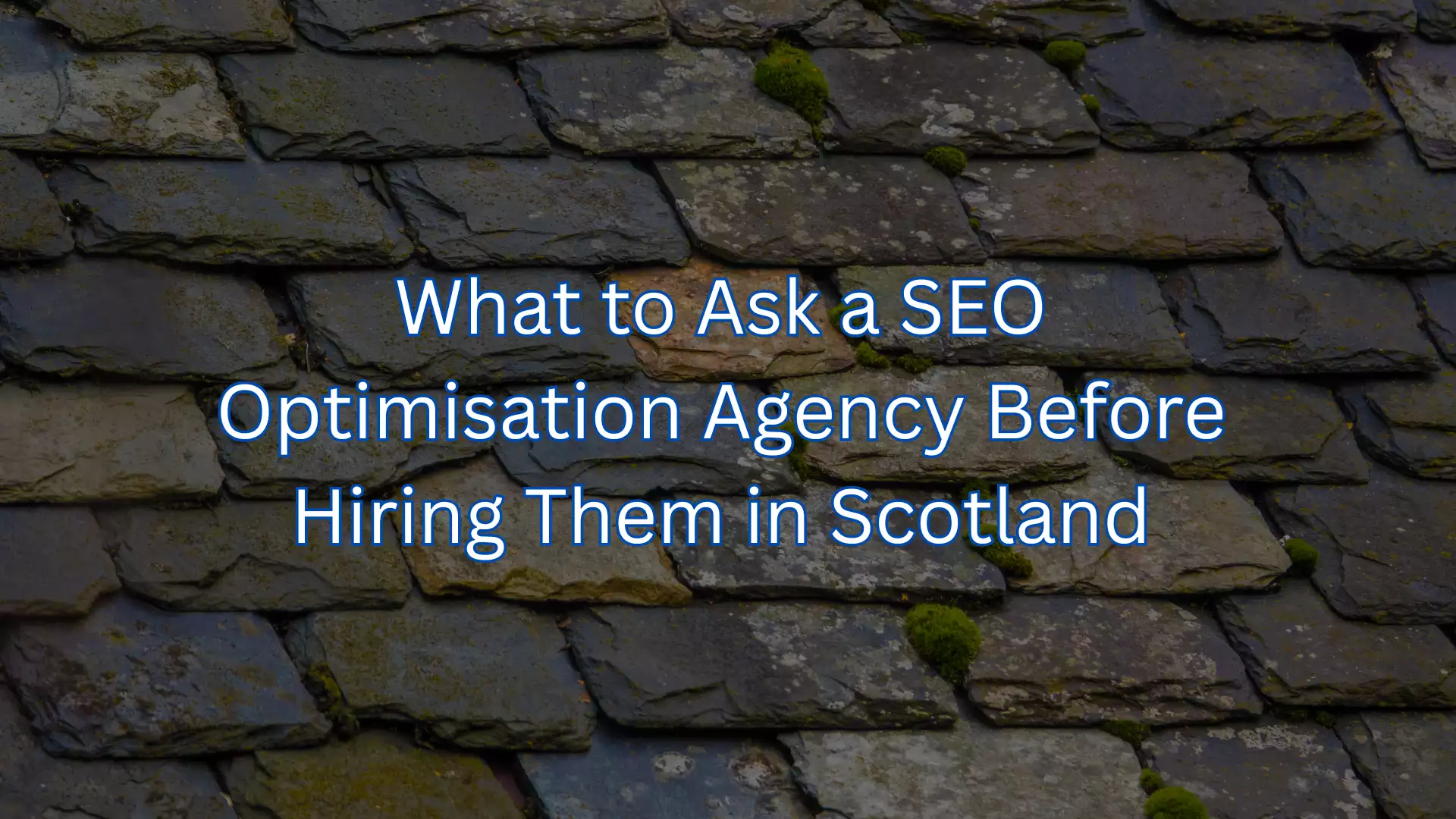 What to Ask a SEO Optimisation Agency Before Hiring Them in Scotland